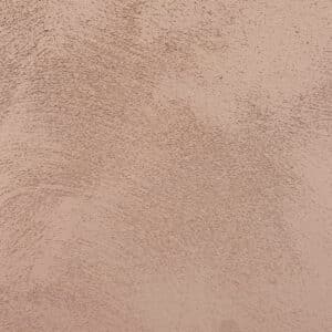 Terra Walls, Sahara